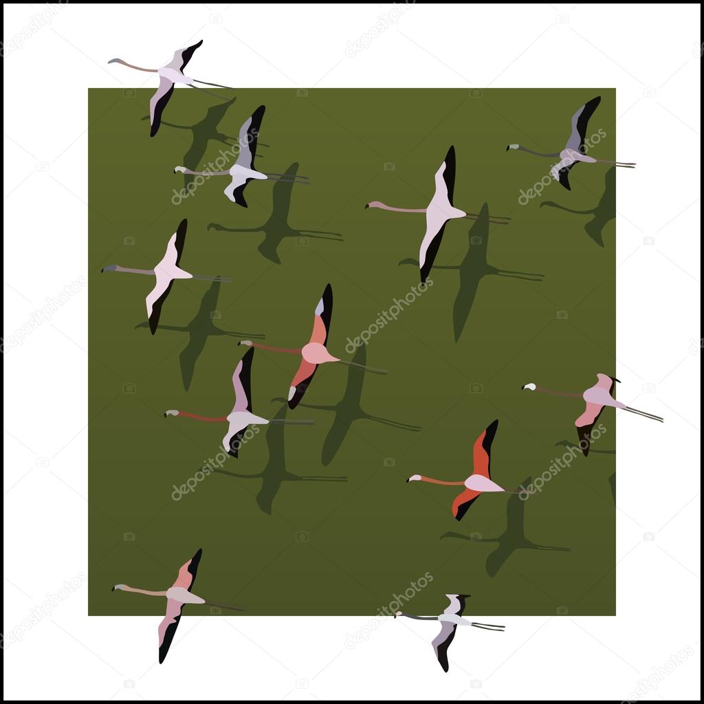 Vector flamingos flying over the green river.