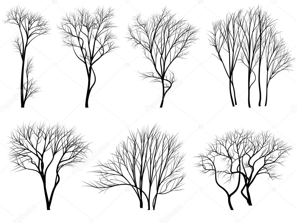 Silhouettes of trees without leaves.
