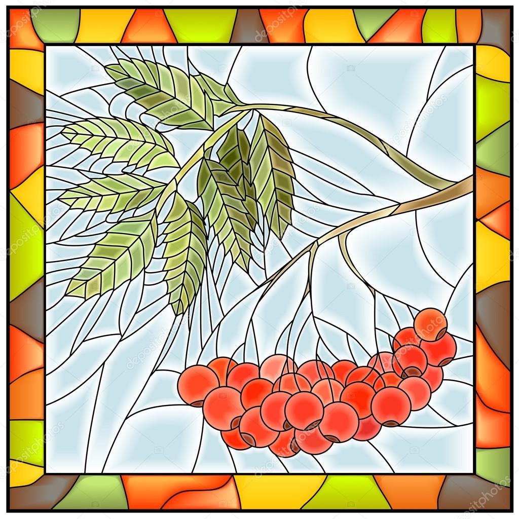 Vector illustration of rowan branch with berries.