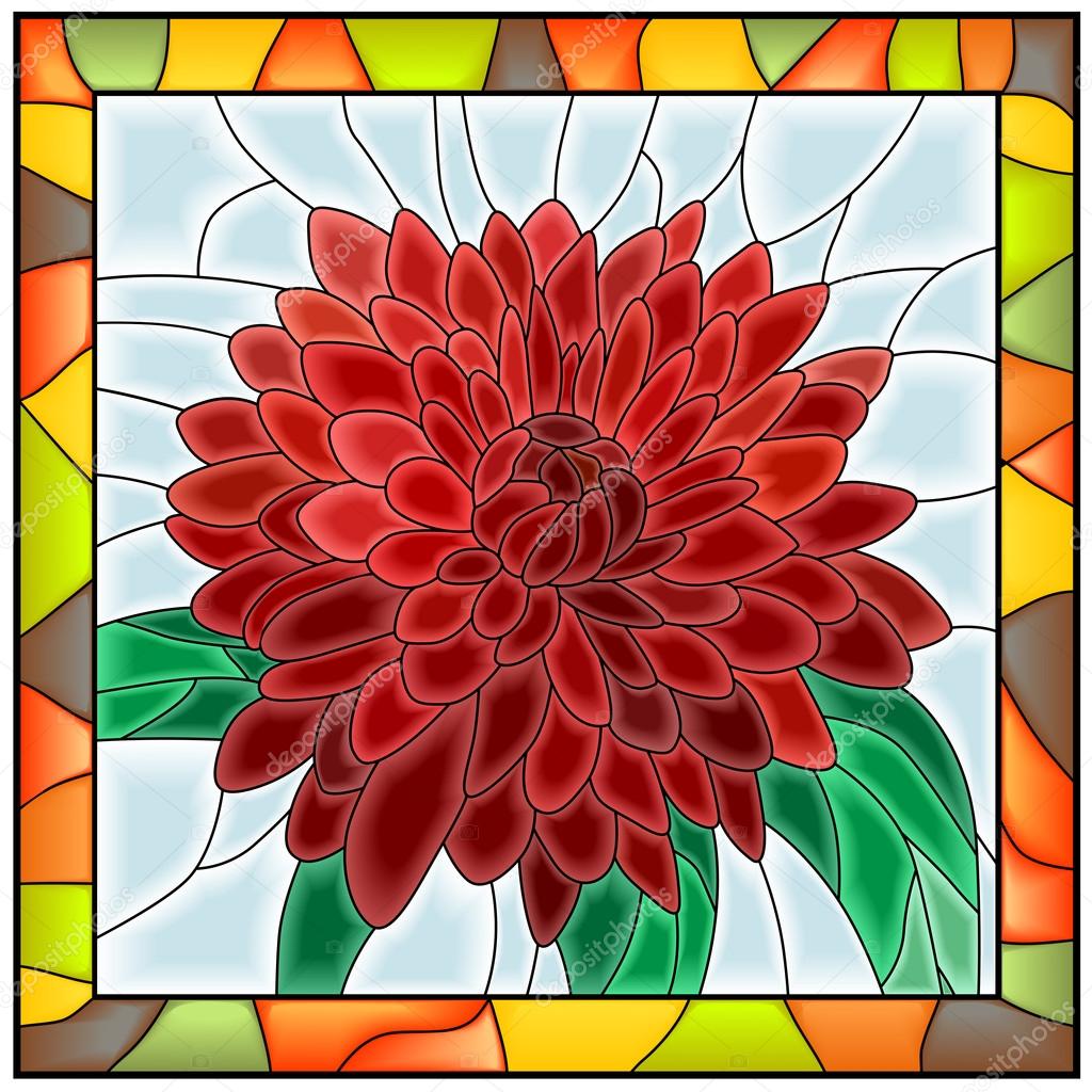 Vector illustration of flower chrysanthemum.