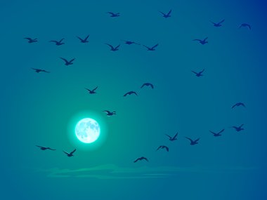 kuşlara karşı pale moon uçan vektör.