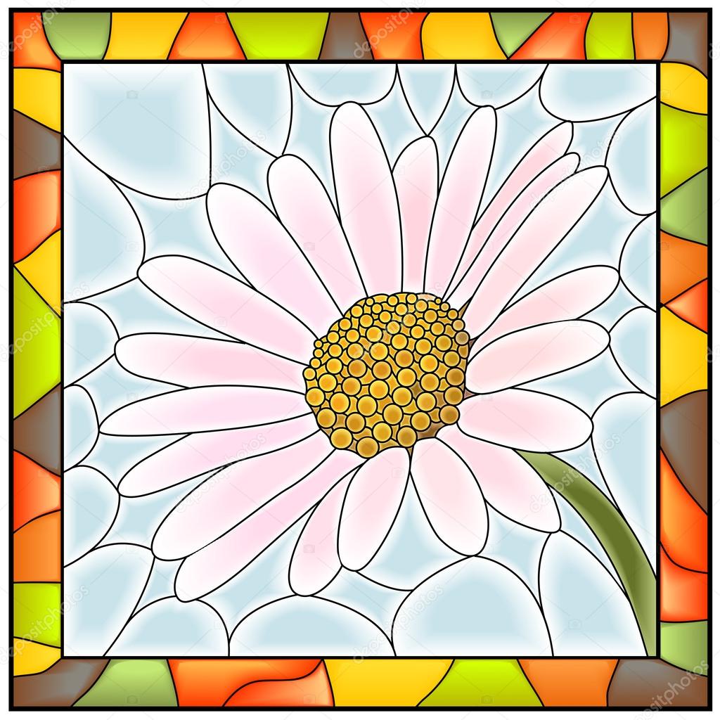 Vector illustration of flower chamomile .