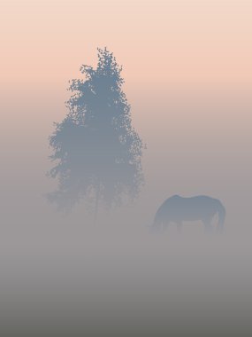 bir ağaç ve bir at bir siste.