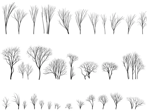 Silhouette di alberi e cespugli senza foglie . — Vettoriale Stock