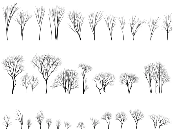 Silhouettes of trees and bushes without leaves. Vector Graphics