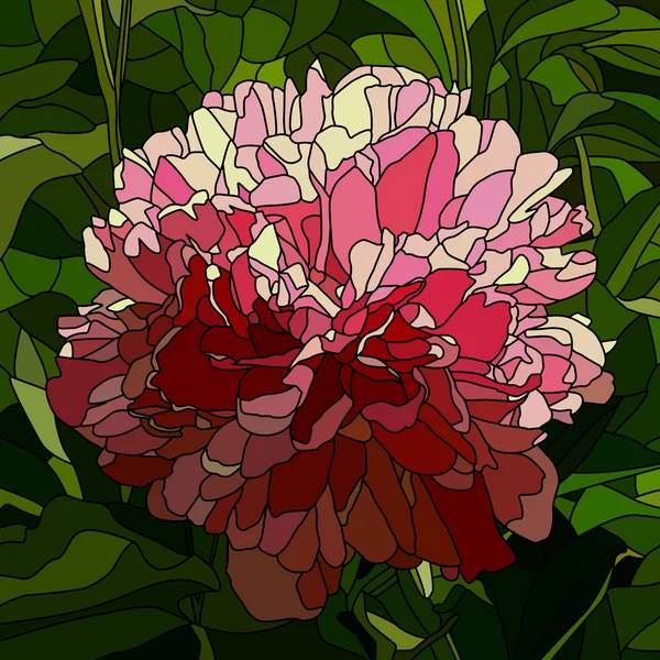 Векторная иллюстрация цветочного пиона . — стоковый вектор