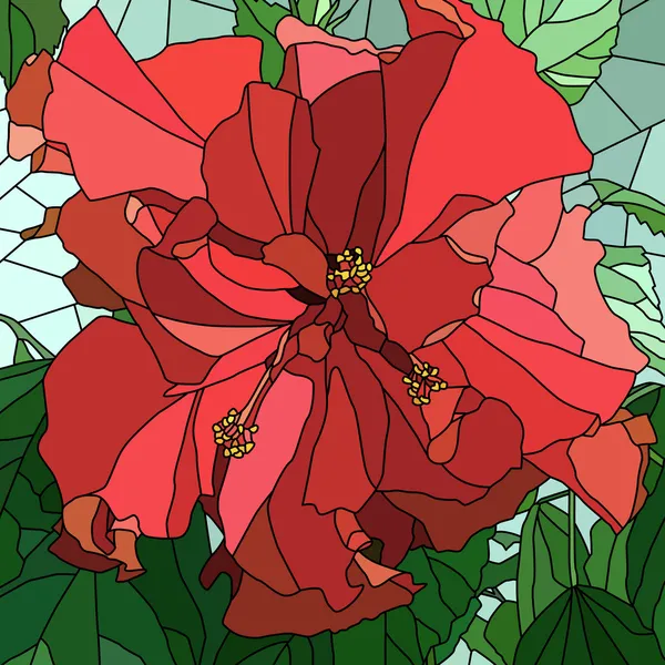 Vektorillustration von Blumen-Hibiskus (chinesische Rose)). — Stockvektor