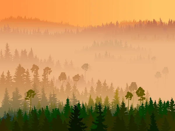 Illustration de vallée avec bois de conifères . — Image vectorielle