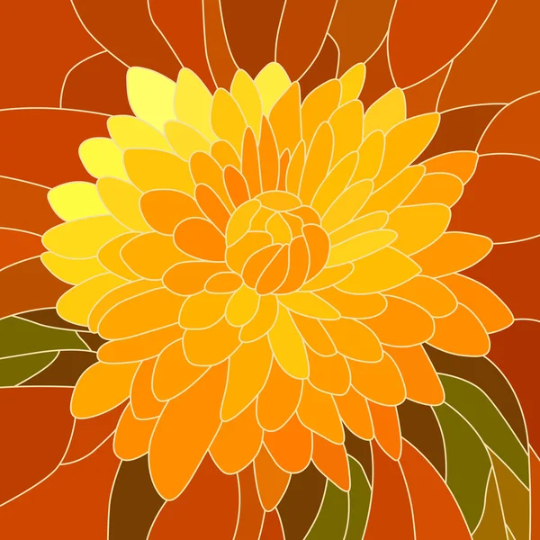 Vector illustration of flower yellow chrysanthemum.