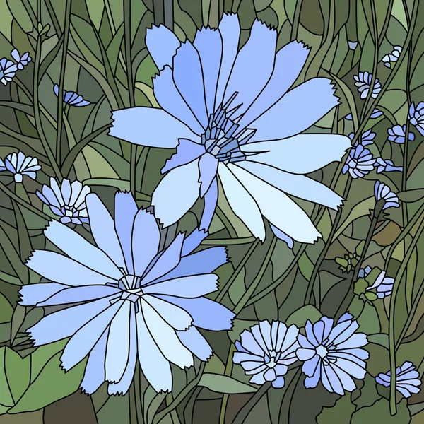 チコリの花ストックベクター ロイヤリティフリーチコリの花イラスト Depositphotos チコリの花ストックベクター ロイヤリティフリーチコリの花イラスト Depositphotos