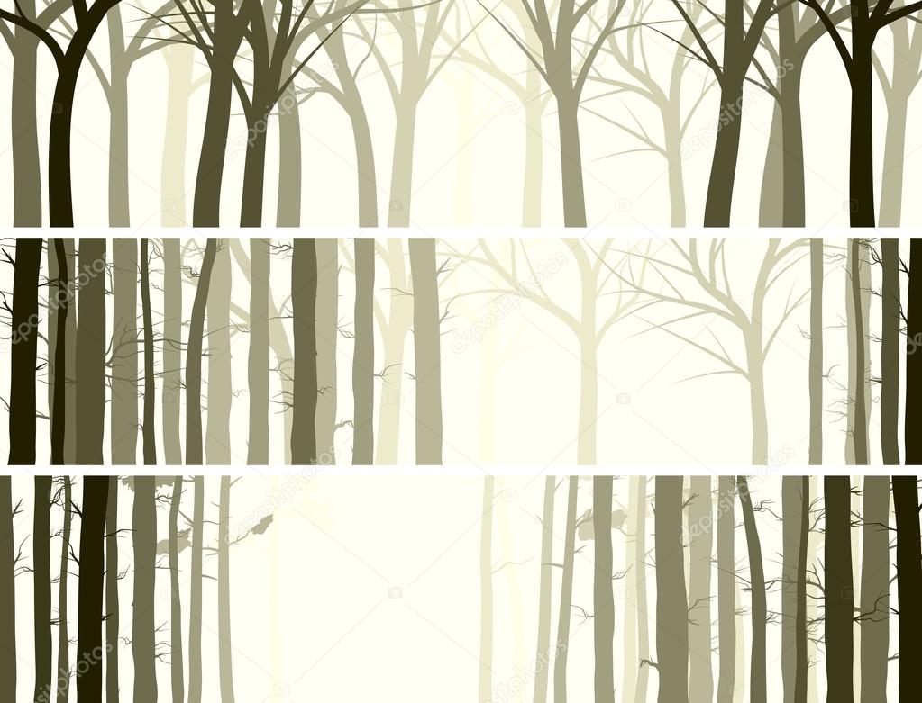 Horizontal banner with many tree trunks.