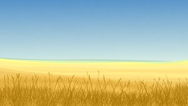 Field of yellow grass against blue sky. — Stock Vector