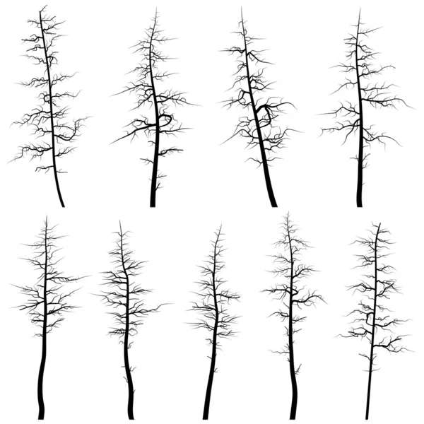 Silhouettes of old trees without leaves (deadwood). — Stock Vector