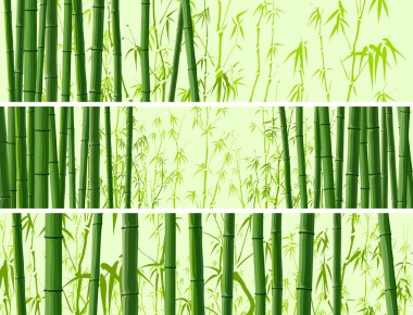 Horizontal banner with many bamboos. clipart
