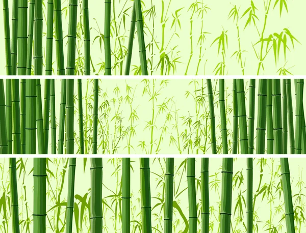 Horizontales Banner mit vielen Bambusen. — Stockvektor