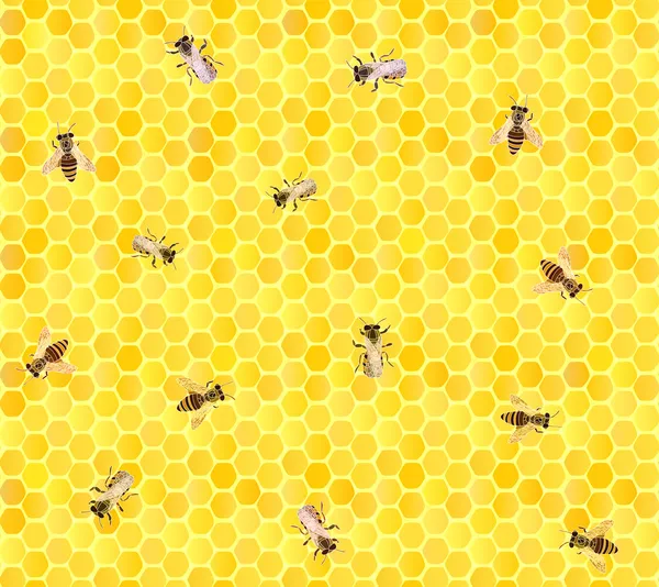 许多蜜蜂在蜂窝、 无缝背景. — 图库矢量图片