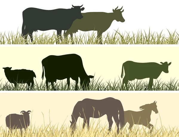 Horizontal illustration of farm pets. — Stock Vector