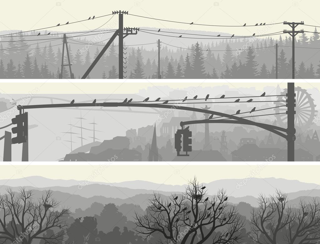 Horizontal banners of flock birds on trees and power lines.