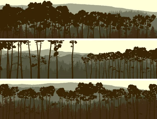 Horizontal banners of coniferous pinewood. — Stock Vector