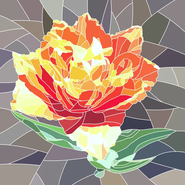 Vectorillustratie voor Oranje tulip. — Stockvector