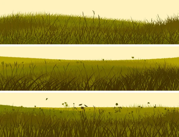 抽象的な牧草地の草のバナー. — ストックベクタ