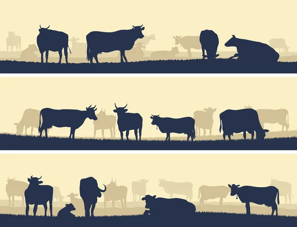 Illustration horizontale des animaux de ferme . — Image vectorielle