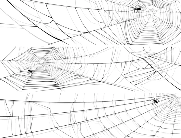 Горизонтальное знамя паутины паука . — стоковый вектор