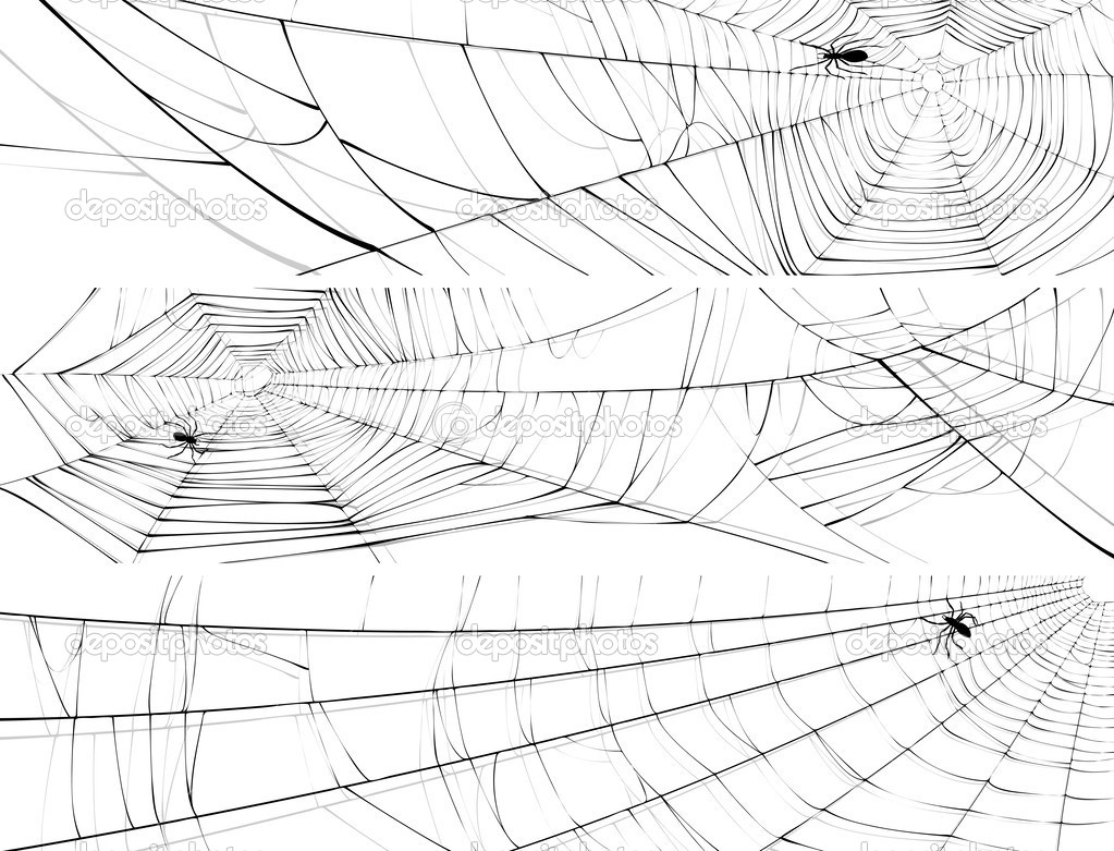 Horizontal banner of web of spider.