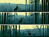 horizontální bannery volně žijících živočichů v lese kopce.