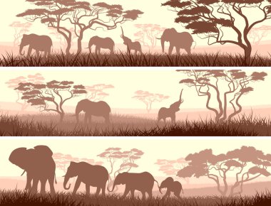Afrika savana vahşi hayvanların yatay Banner.