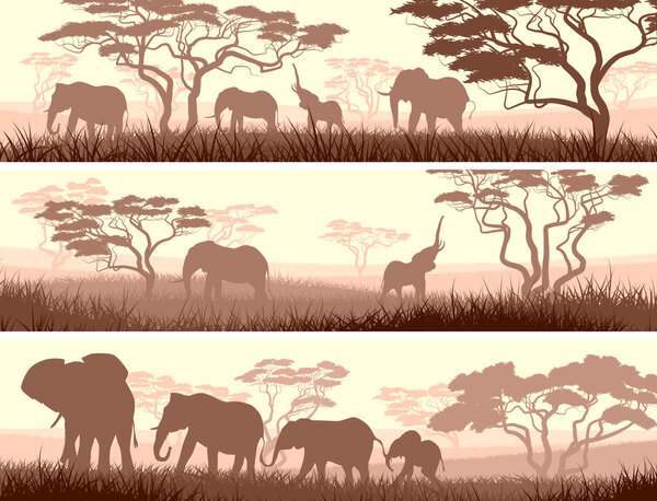 Horizontal banners of wild animals in African savanna.