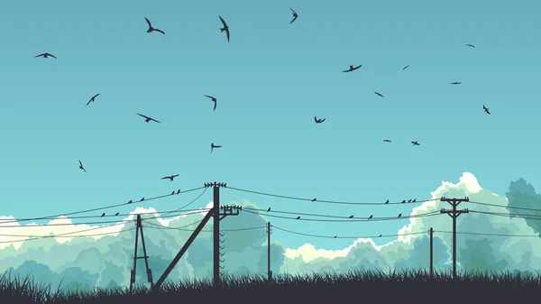 Ilustración horizontal de aves en el cielo y en la línea eléctrica . — Archivo Imágenes Vectoriales