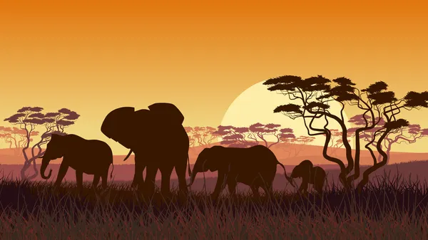 Illustrazione orizzontale di animali selvatici nel tramonto africano savann — Vettoriale Stock