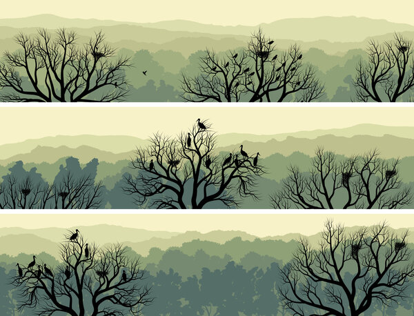 Horizontal banners of green forest with nest in tree.