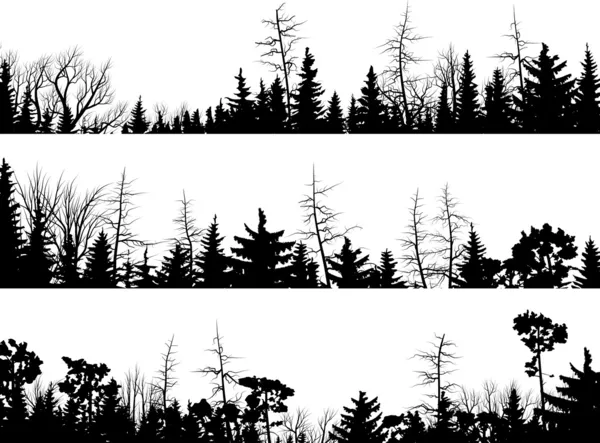 Silhouettes horizontales en bois de conifères . — Image vectorielle