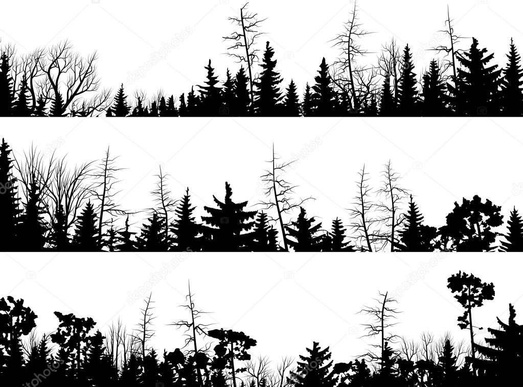 Horizontal silhouettes of coniferous wood.