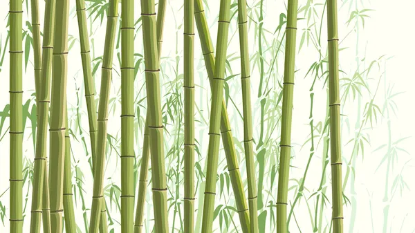 Horizontal illustration with many bamboos. — Stock Vector