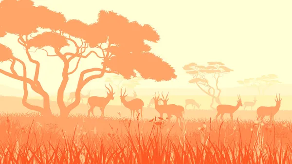 Vector illustration of wild animals in African savanna. — Stock Vector