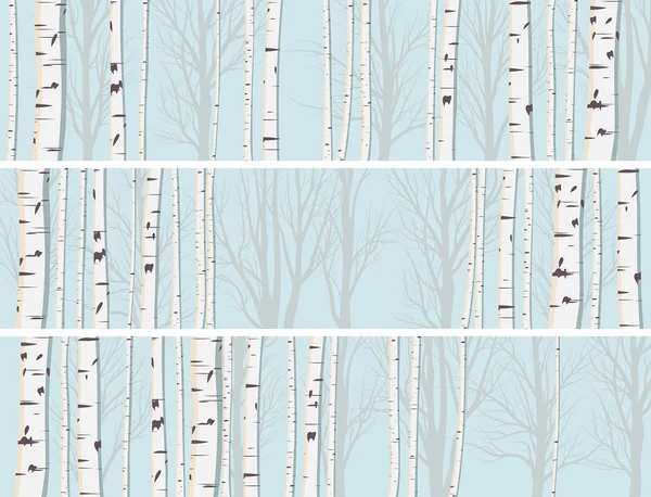 白樺の幹の森の水平方向のバナー. — ストックベクタ