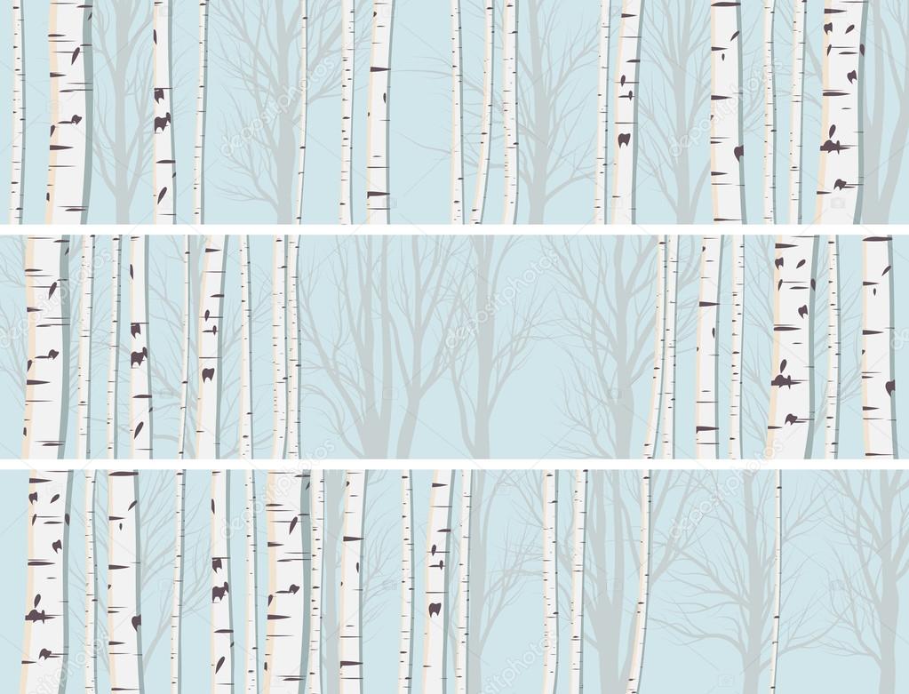 Horizontal banners of birch trunks forest.