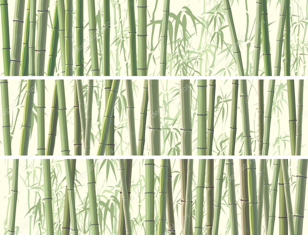 Set of horizontal banner with many bamboos.