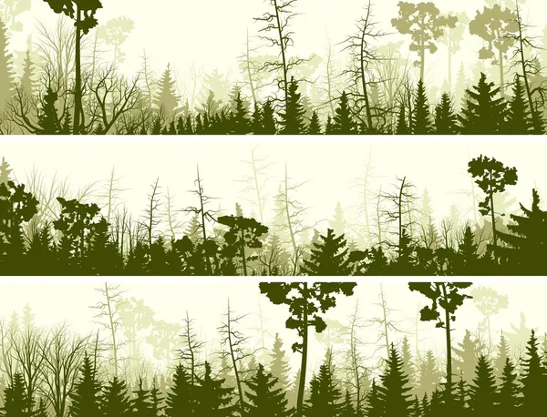 針葉樹林の水平方向のバナー. — ストックベクタ