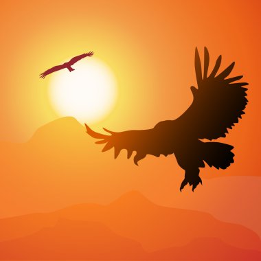 Square cartoon illustration of soaring eagle and sunset. clipart