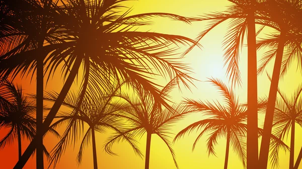 Illustrazione orizzontale sagome di palme . — Vettoriale Stock