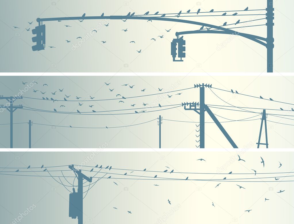 Horizontal banners of flock birds on city power lines.