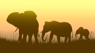 gün batımı savana vahşi hayvanların yatay şekilde.