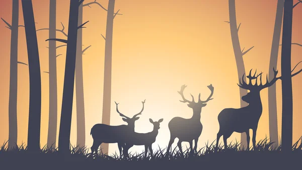 Illustration horizontale des animaux sauvages dans le bois . — Image vectorielle