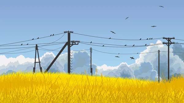 Ilustración vectorial de aves en el cielo y en la línea eléctrica . — Vector de stock