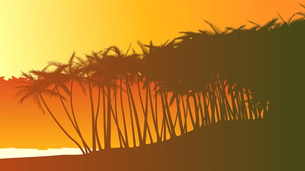 Ilustração horizontal palmeiras na praia . — Vetor de Stock