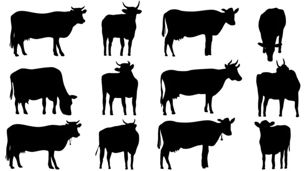 Set de siluetas de vacas y toros — Vector de stock